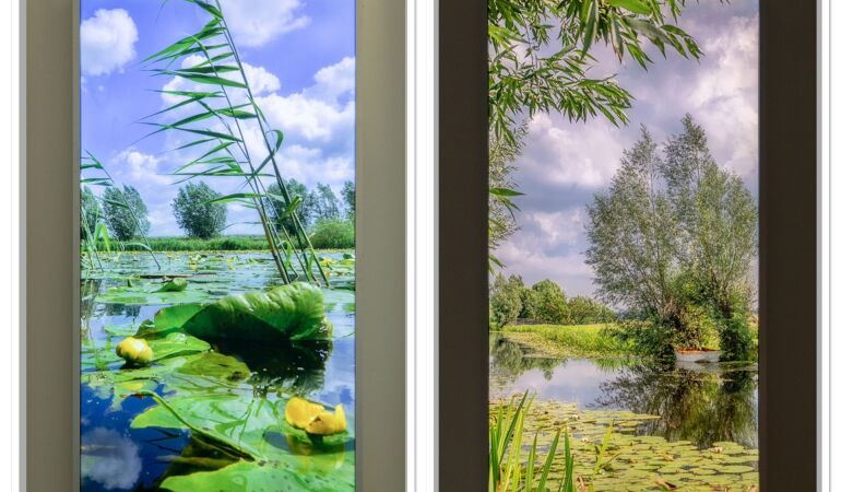 Natuurbeelden op patiëntenkamers